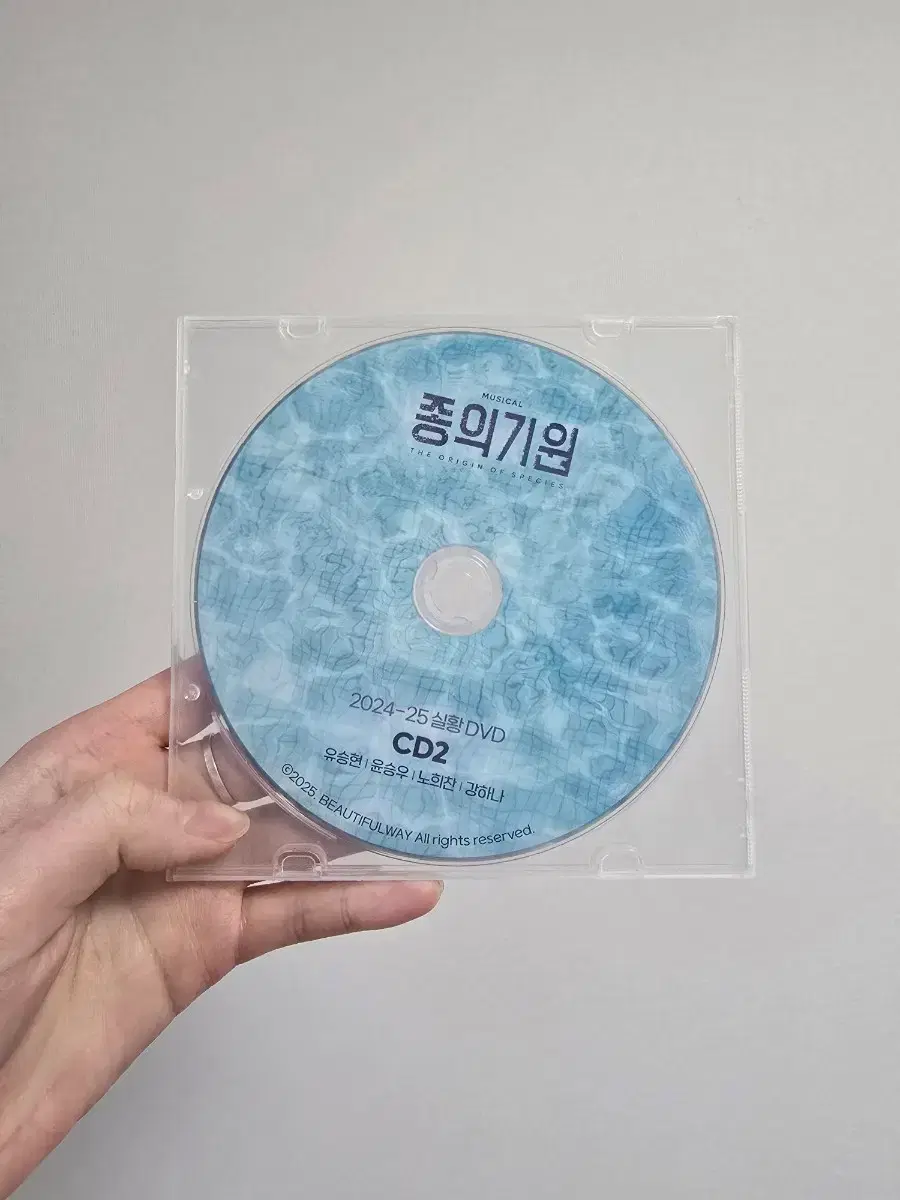 2024-25 뮤지컬 종의 기원 DVD 2번 | 브랜드 중고거래 플랫폼, 번개장터